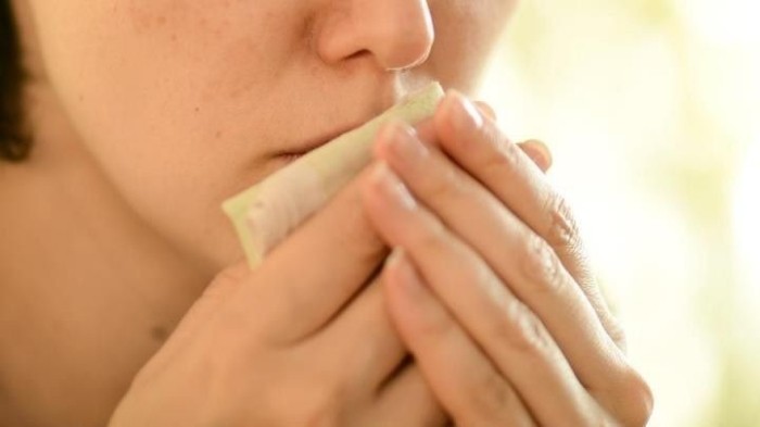 Заболели во время отпуска? Узнали, как его можно продлить