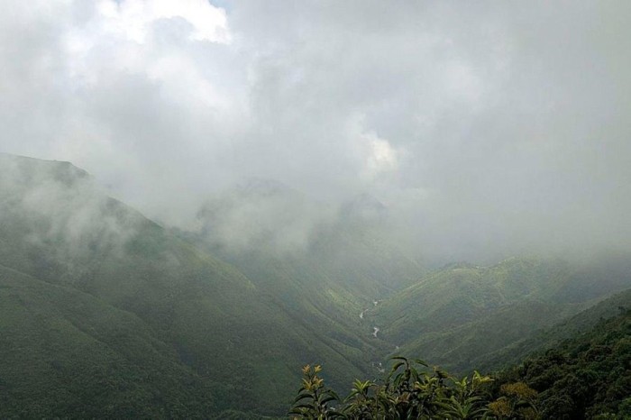 Назван самый дождливый город в мире