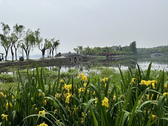 На каких машинах гоняют сами китайцы? Удивитесь, но в топе не только бренды из КНР!